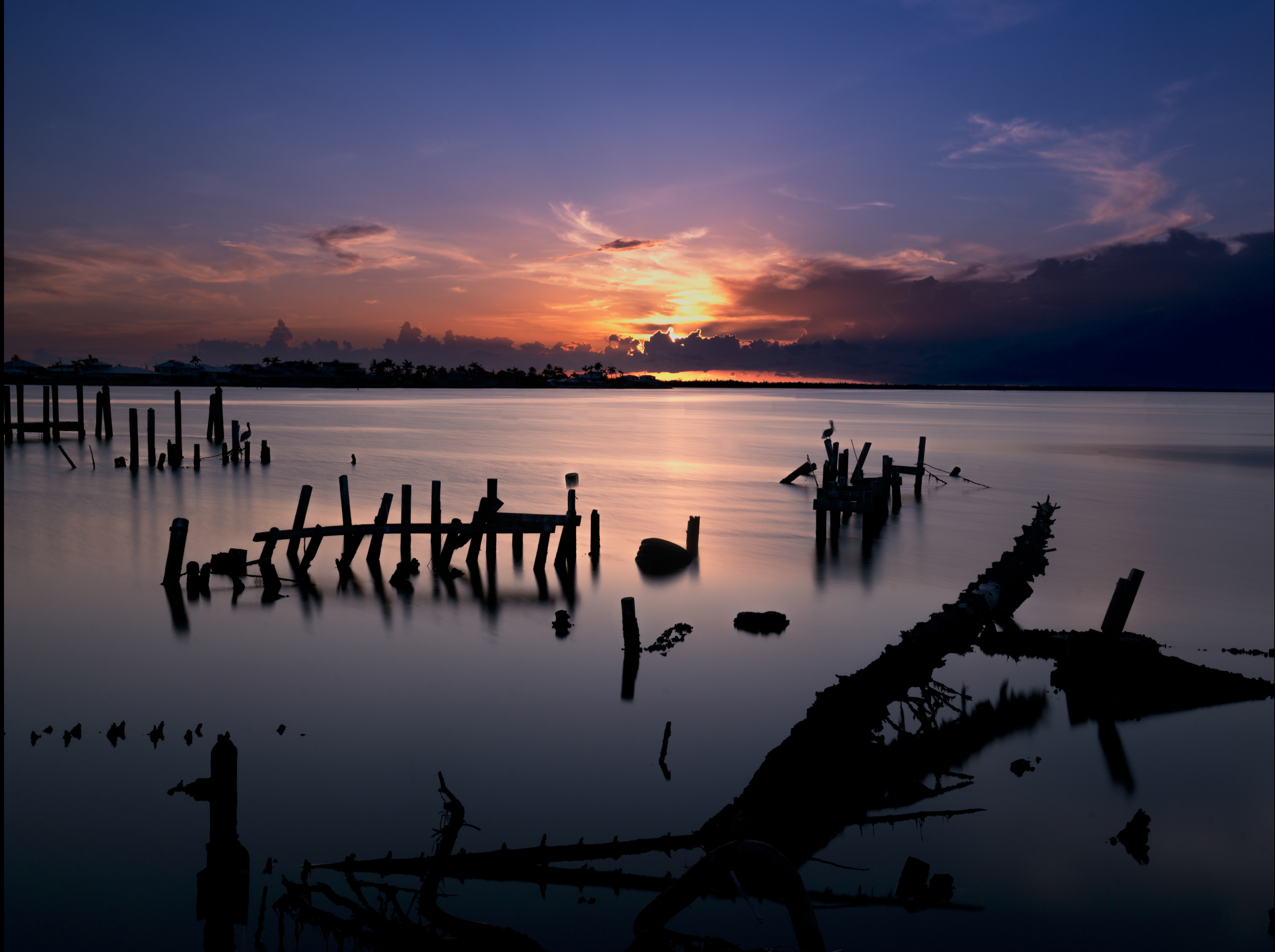 Sunset over a calm body of water with silhouettes of trees and logs.