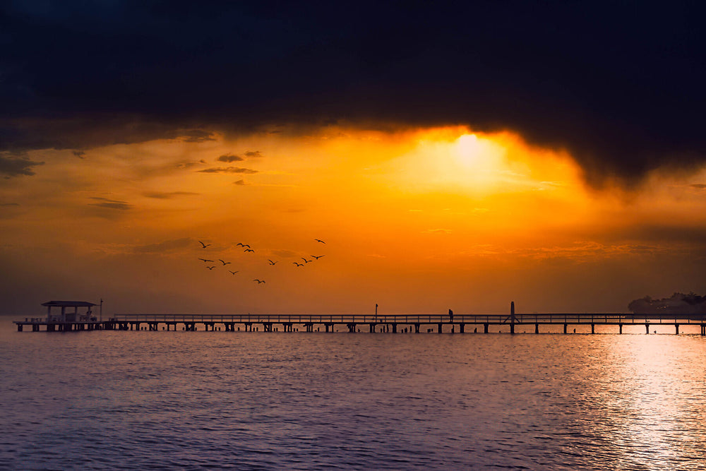 Sun breaking through storm cloud above a pier as birds pass