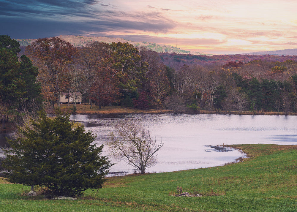 Autumn treeline reflected in a flooded meadow at first light